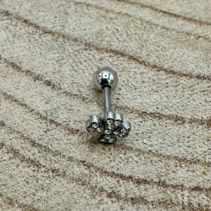 Piercing Trevo