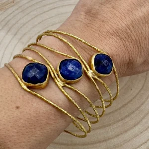 Pulseira da India (Variedades) 5