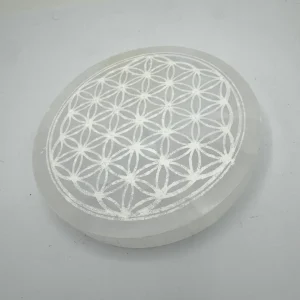 Base Selenita 2